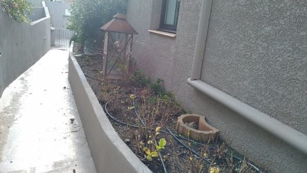 Création allées de Jardin